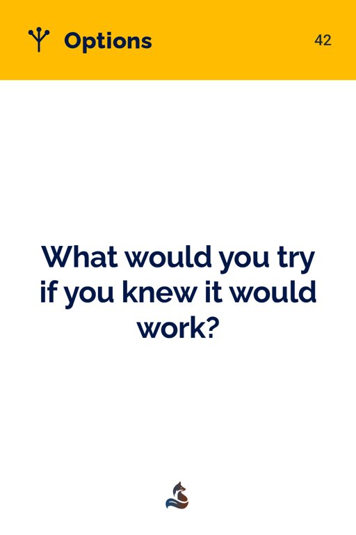 42 What would you try if you knew it would work?